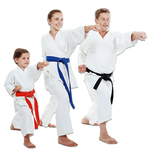 Martial Arts Lessons for Families in Arlington VA - Man and Daughters Family Punching Together
