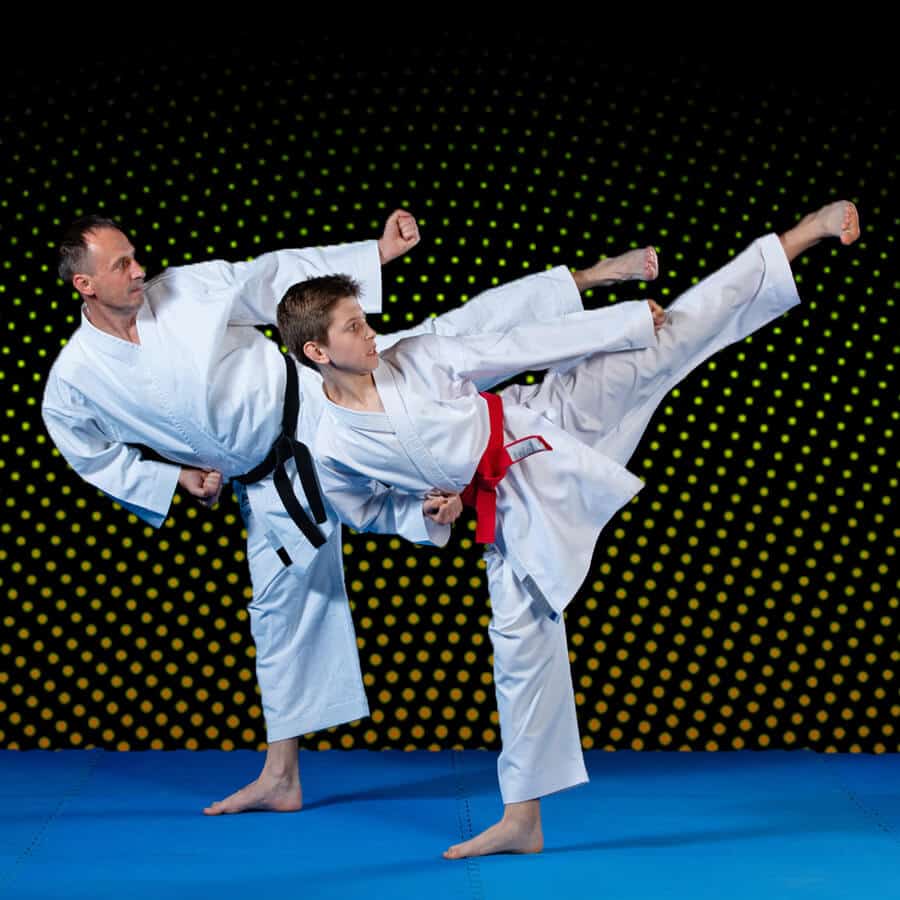 Martial Arts Lessons for Families in Arlington VA - Dad and Son High Kick