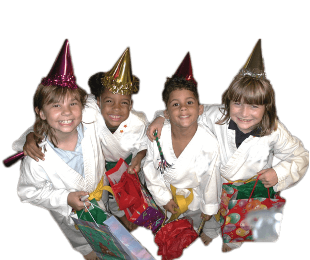Martial Arts Birthday Party in Arlington VA - Happy Birthday Kids Party Footer Banner