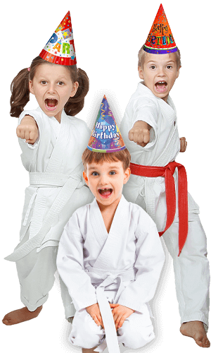Martial Arts Birthday Party for Kids in Arlington VA - Birthday Punches Page Banner