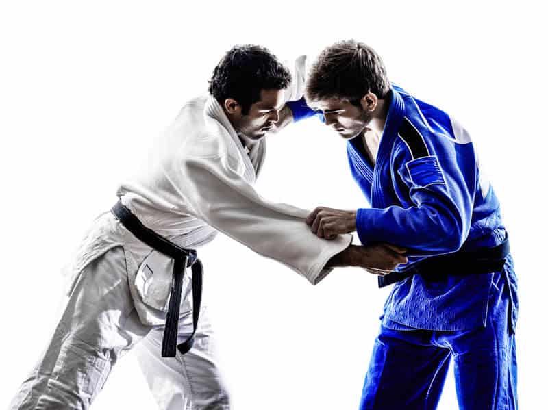 Brazilian Jiu Jitsu Lessons for Adults in Arlington VA - BJJ Grapple Men