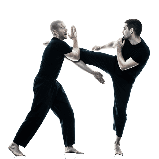 Self-Defense Program for Adults in Arlington VA - Self Defense Men Self-Defense
